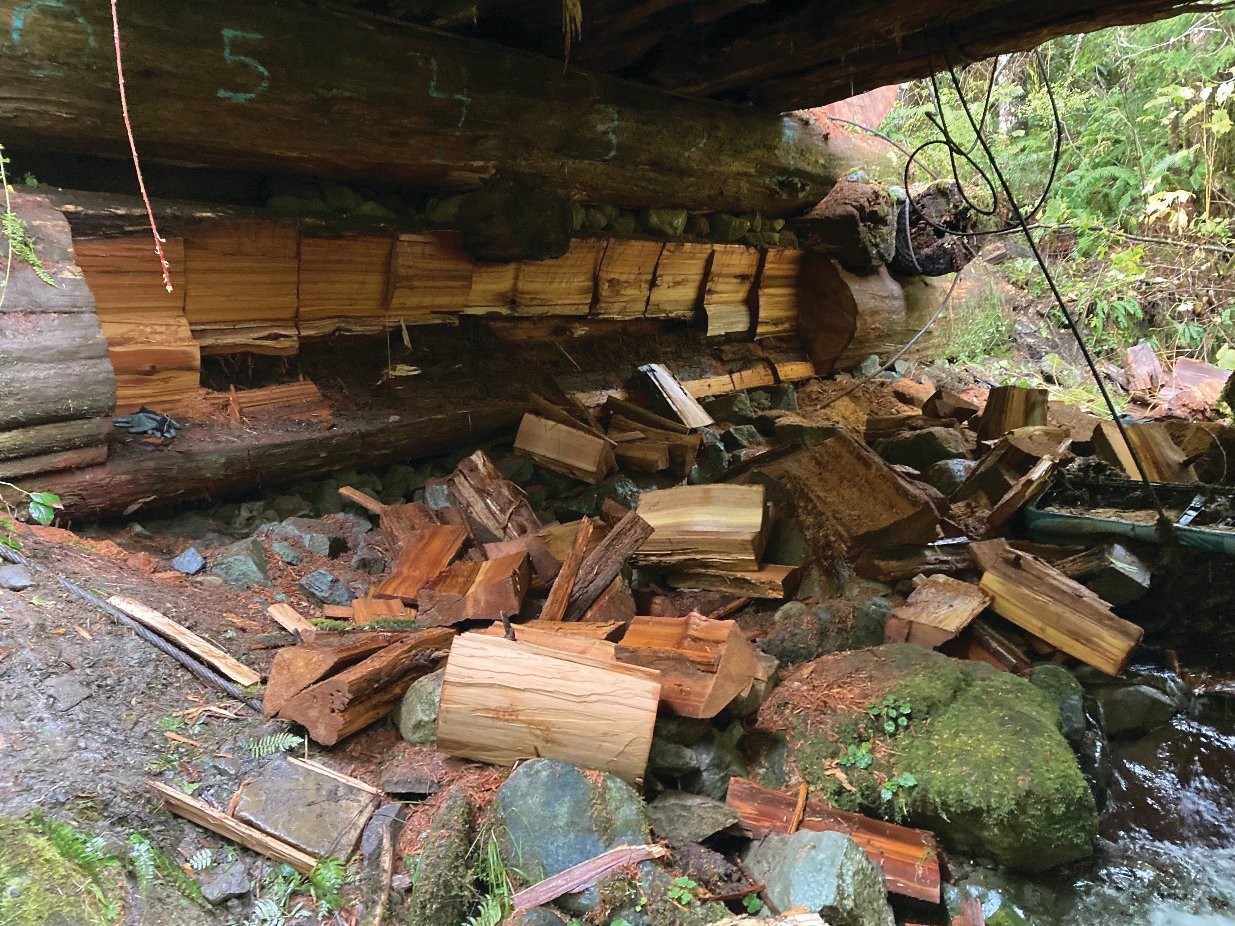 Troy Stephen Crandall and Jose Carmen Salinas were arrested for second-degree theft and two other felonies after authorities said they took two chainsaws to a DNR bridge during a timber theft in October.